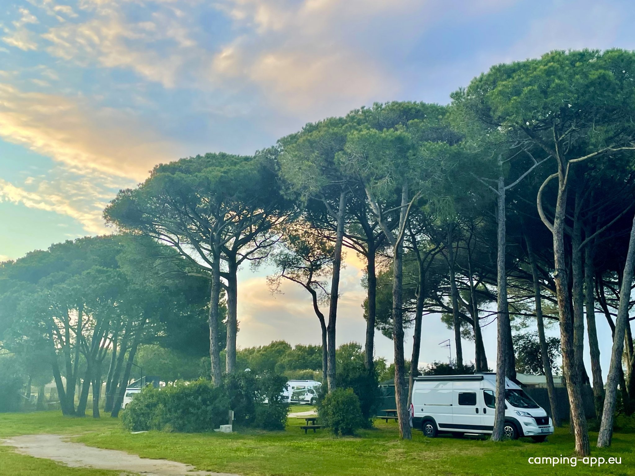 Camper Parking Area La Pineta — Sítio para autocaravanas in Pescia Romana