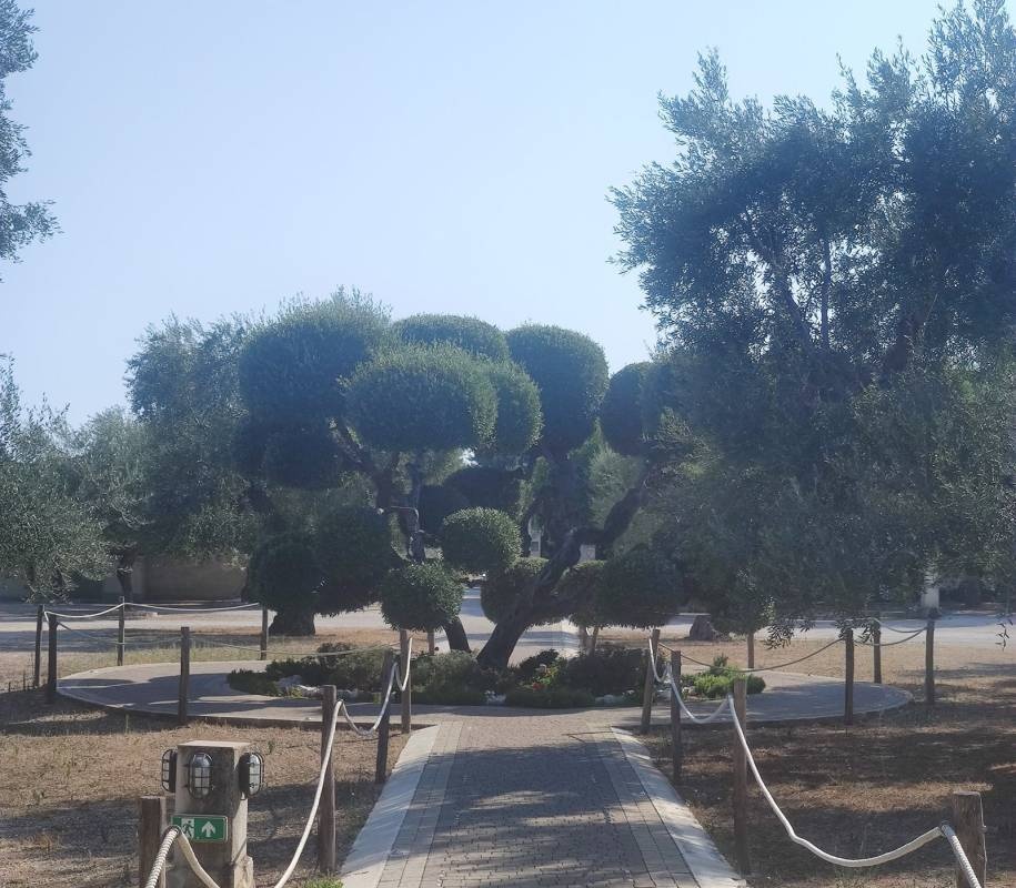Brezza Tra Gli Ulivi - Camping & Restaurant — Kemping in Bisceglie