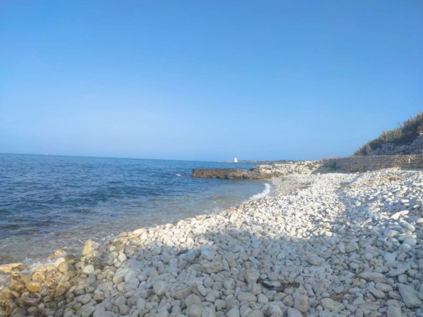 Brezza Tra Gli Ulivi - Camping & Restaurant — Photo 4