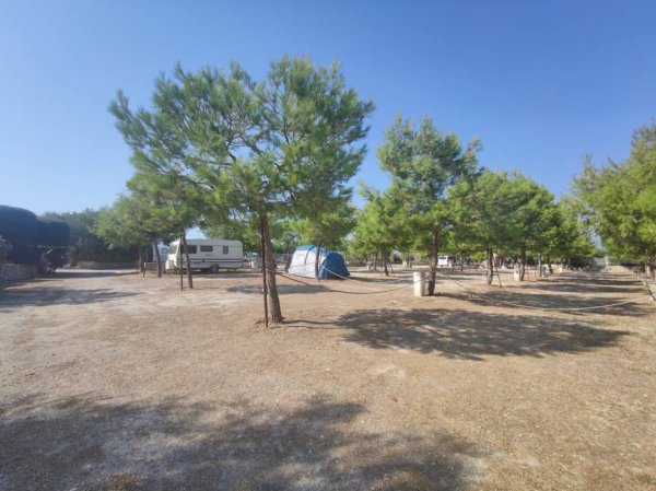 Brezza Tra Gli Ulivi - Camping & Restaurant — Photo 2