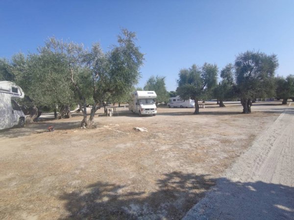 Brezza Tra Gli Ulivi - Camping & Restaurant — Photo 5