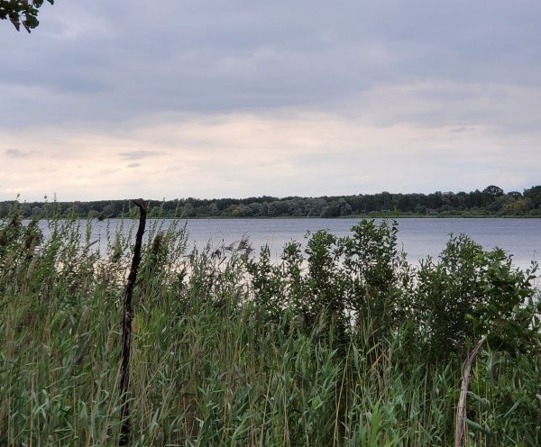 Halbinsel Raatsch — Photo 2