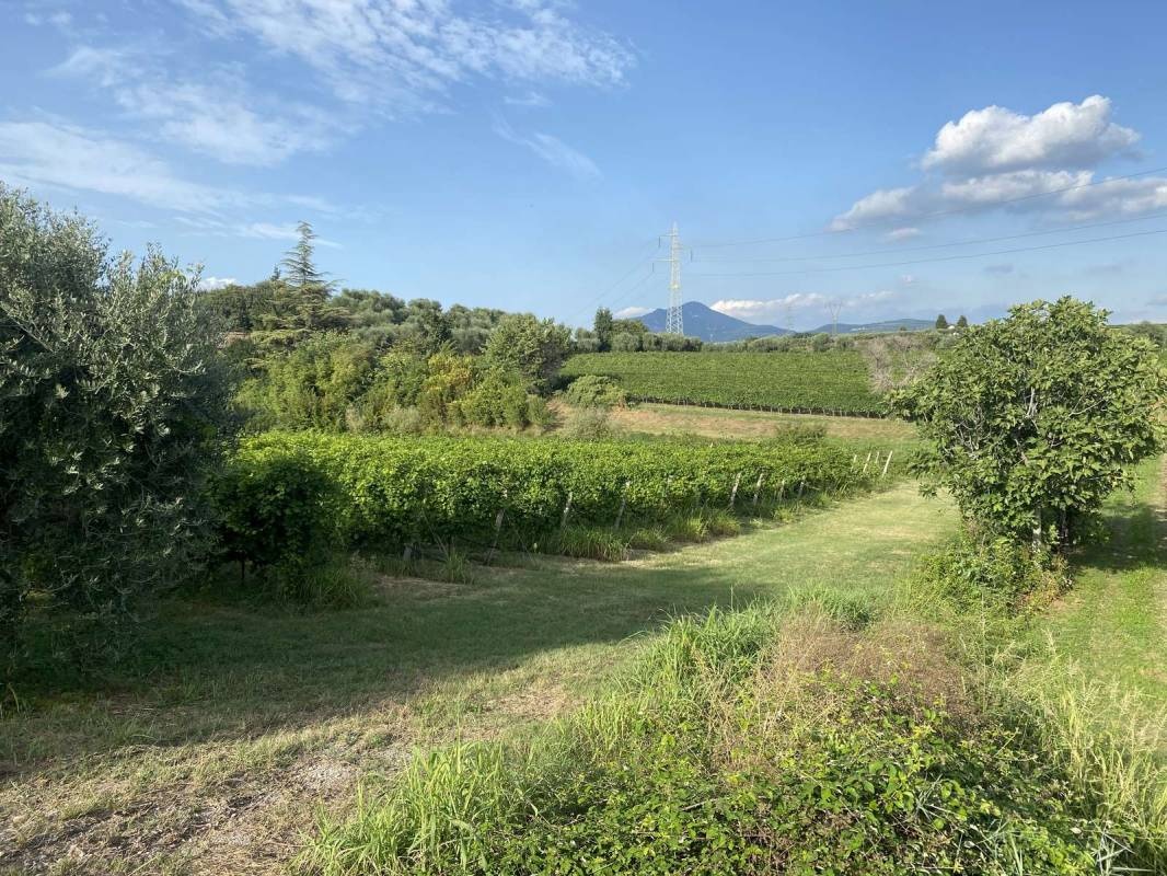 Agriturismo Tre Colline — Campervan Site in Bardolino