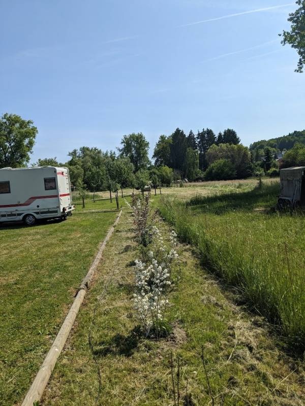 Stellplatz Bedesbach — Campervan Site in Altenglan