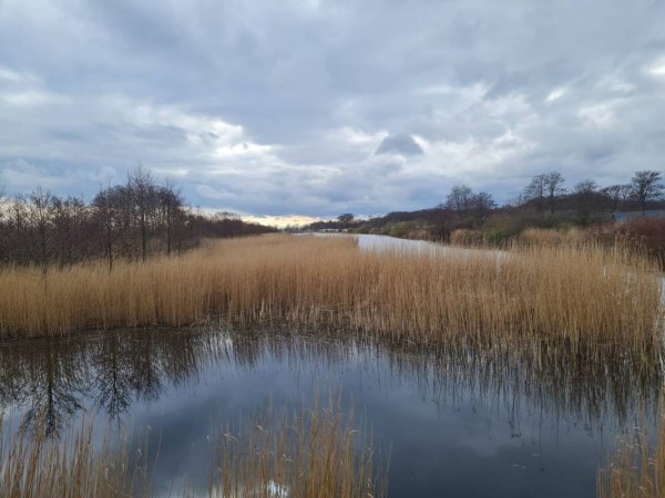 Ostseecamping-Gut Karlsminde — Photo 6