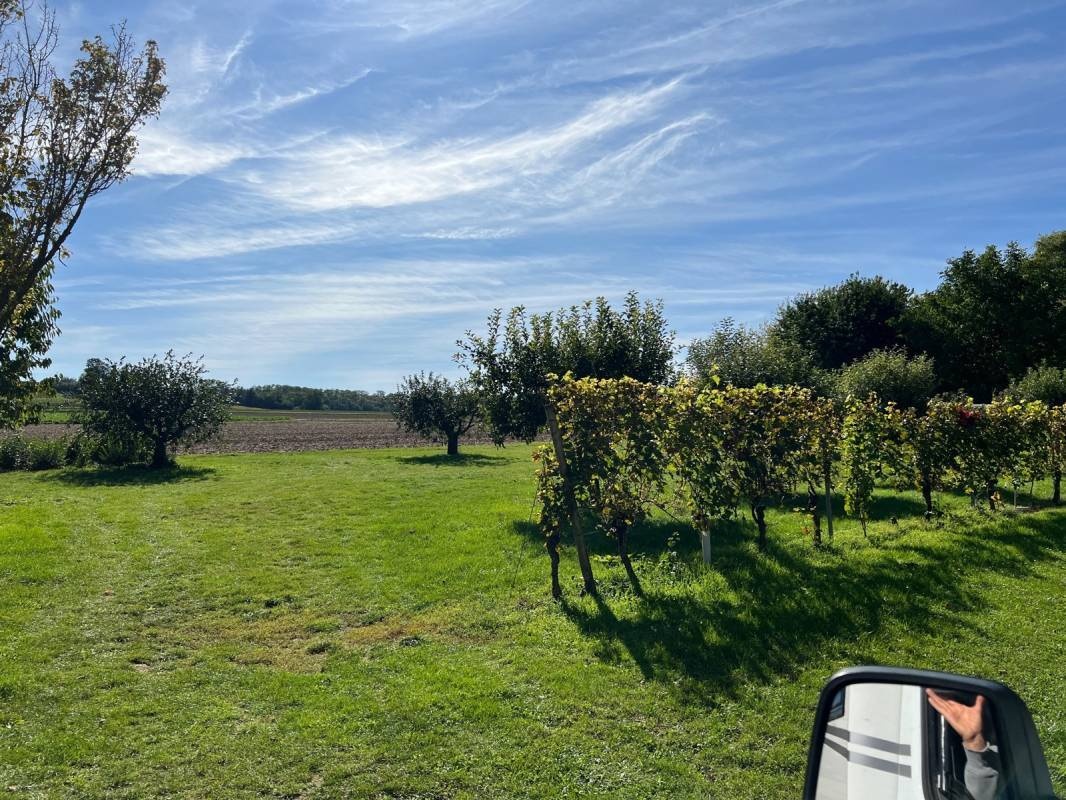 Weingut Schott Wohnmobil-Stellplätze — Vinícola in Stadecken-Elsheim