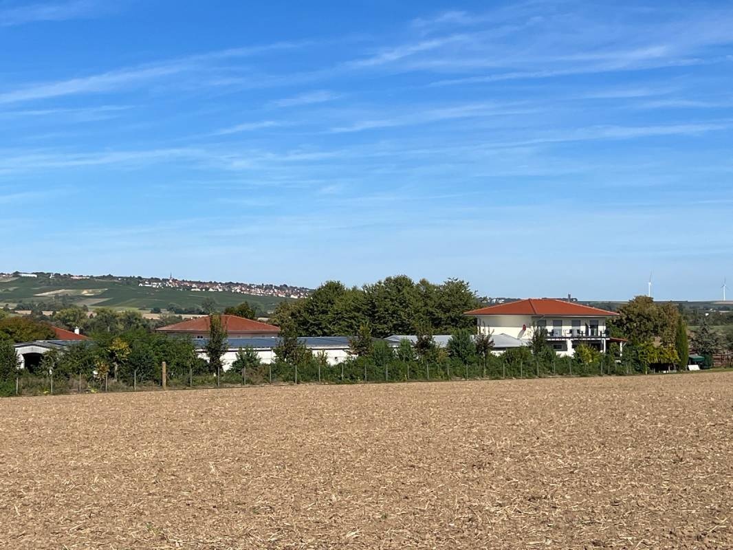 Weingut Schott Wohnmobil-Stellplätze — Winery in Stadecken-Elsheim