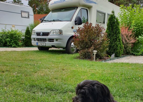 Stellplatz Senftenberg — Photo 2