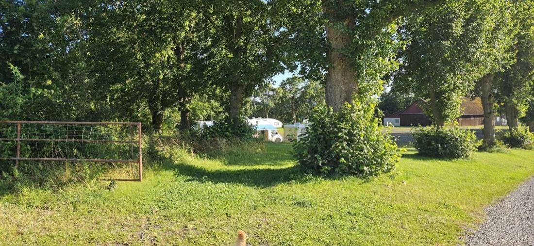 Stellplatz Fredelsloh — Karavan Sitesi in Moringen