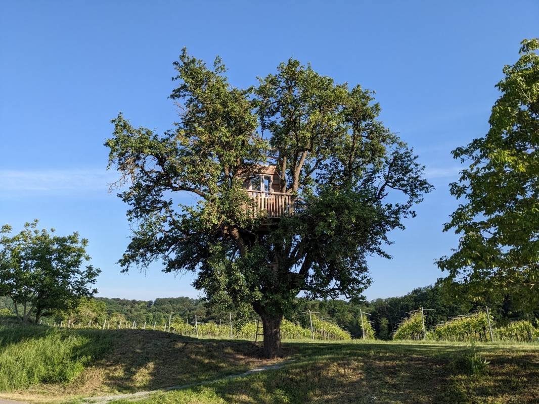 Weingut Karl Busch — Winiarnia in Bretzfeld