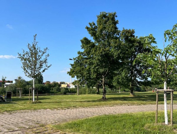 Stellplatz Pirna — Photo 2