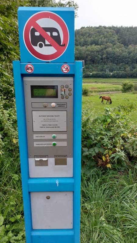 Stellplatz Hafen Prossen — Photo 3