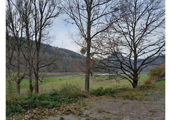 Stellplatz Hafen Prossen — Photo 2