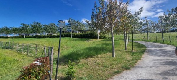Azienda Agricola Abbruzzetti — Photo 6