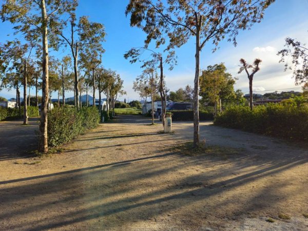 Sosta Camping Torre di Bari Sardo — Photo 3