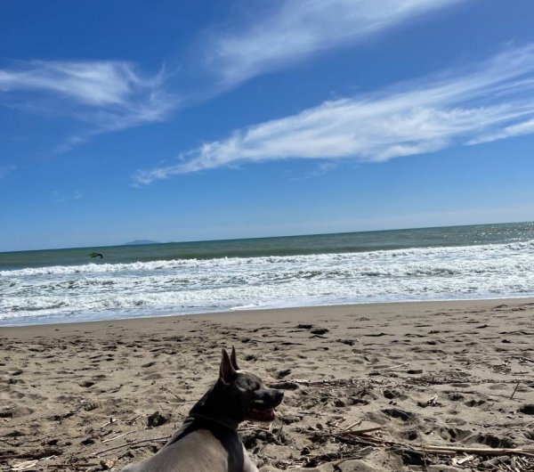 Camping Maremmasanssouci — Photo 2