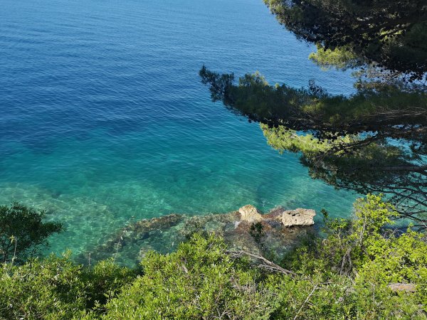 Camping Peča — Photo 4