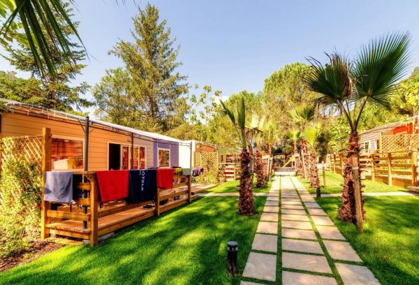 Camping delle Rose — Foto 3