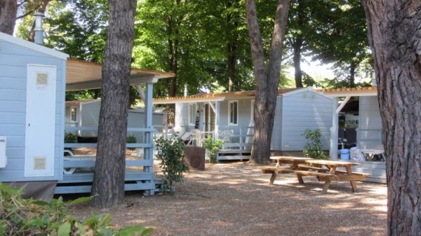 Camping River — Photo 2