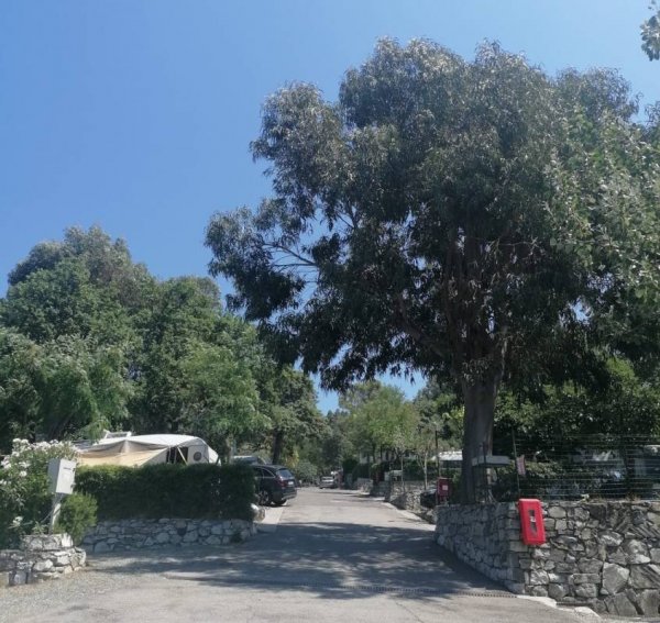 Camping Mare Monti — Photo 3