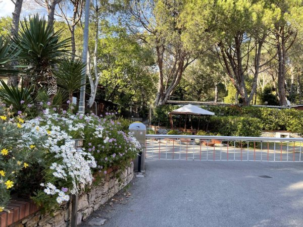 Tigullio Camping & Resort — Photo 4