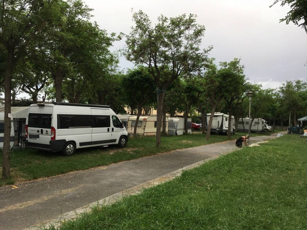 Patrco Vacanze - Camping Charly — Kemp in Savona