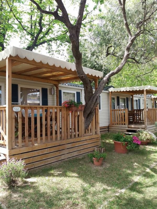 Camping Delfino — Camping in Albenga