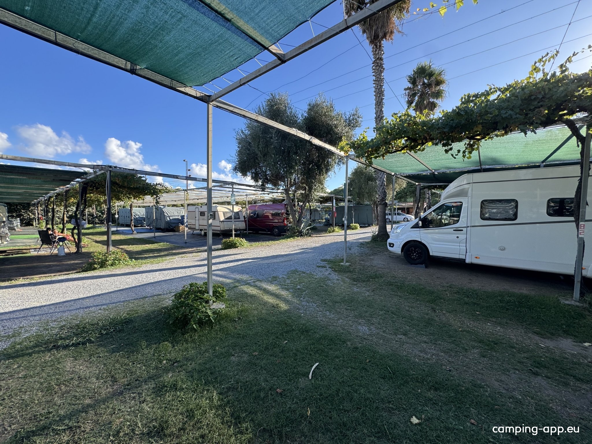 Camping Delfino — Kamp yeri in Albenga