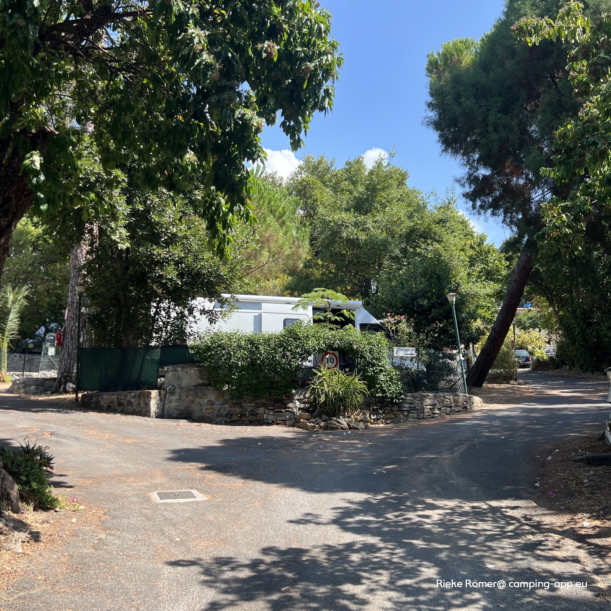 Campeggio La Pineta — Foto 5