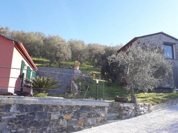 Campeggio Panorama — Photo 2