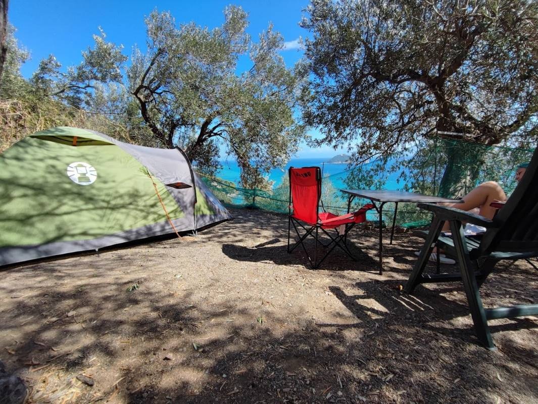 Parco Vacanze La Vedetta — Camping in Alassio