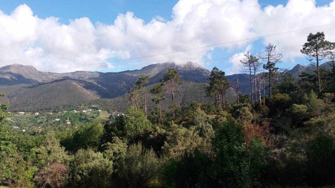 Camping Osservatorio — Campingplass in Cogoleto
