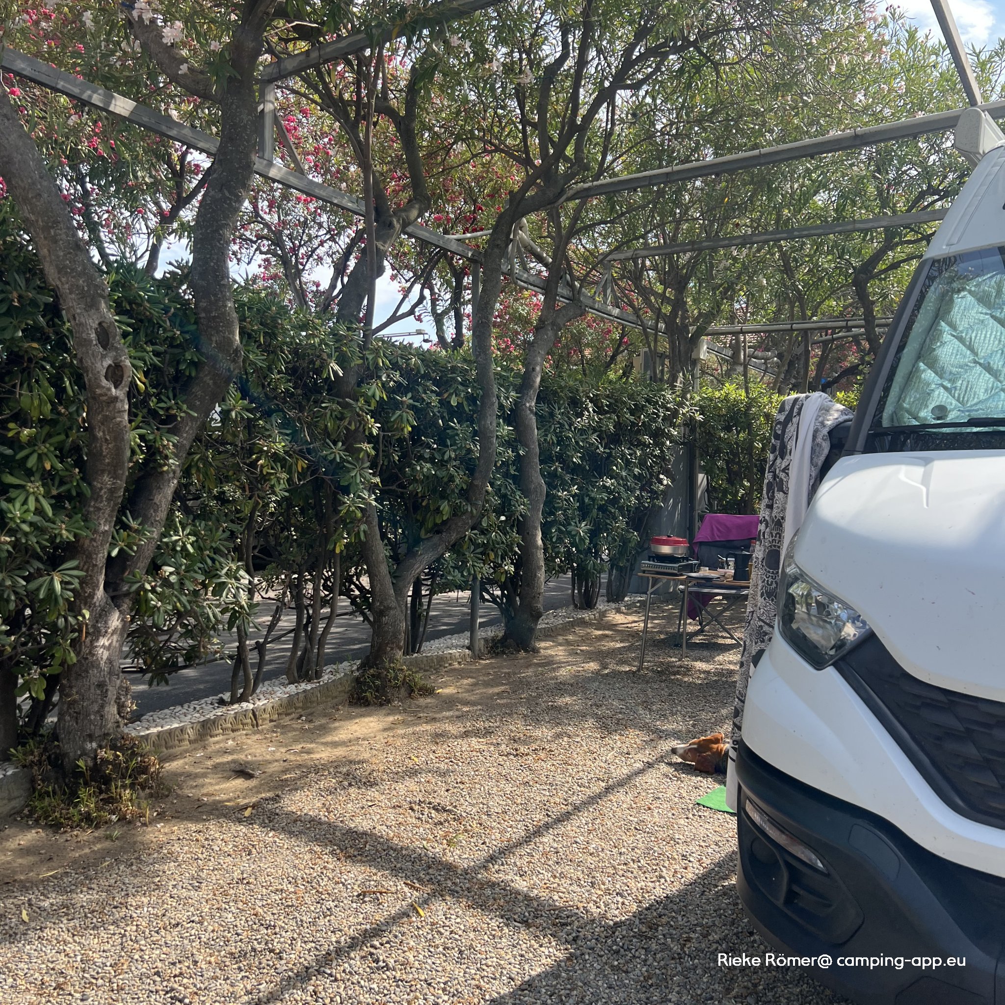 Camping del Mare (max. 3 m Höhe) — Photo 4