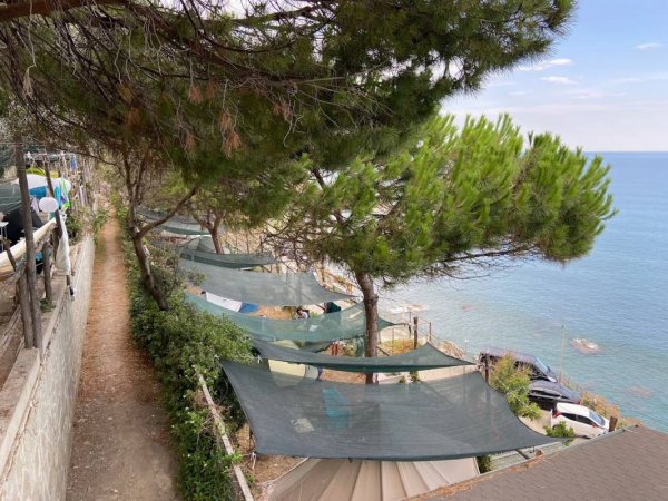 Campeggio Il Rospo — Photo 2