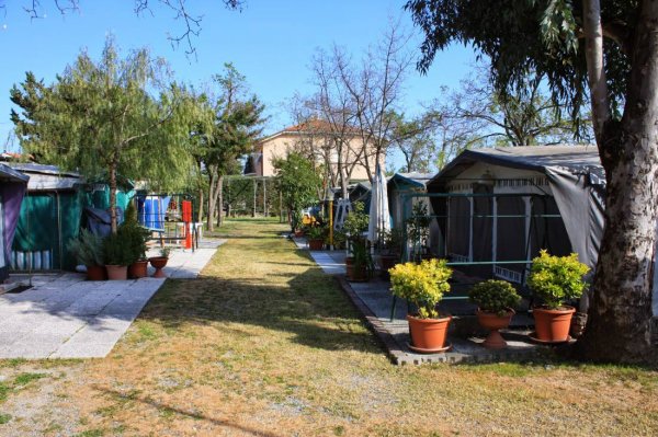 Holiday Camping — Photo 2