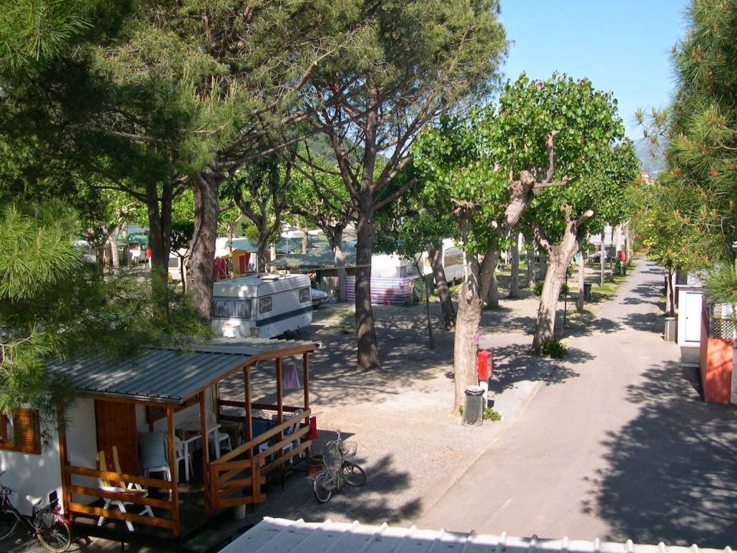 Camping dei Fiori — Camping in Albenga