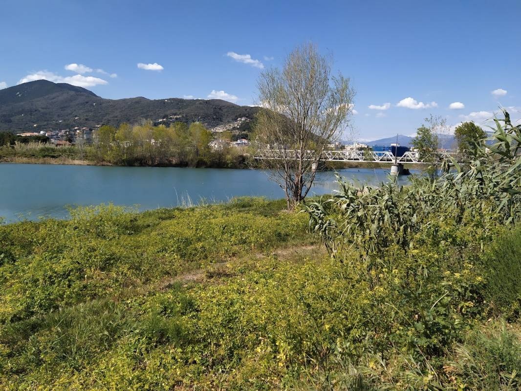 Camping dei Fiori — Campingplatz in Albenga