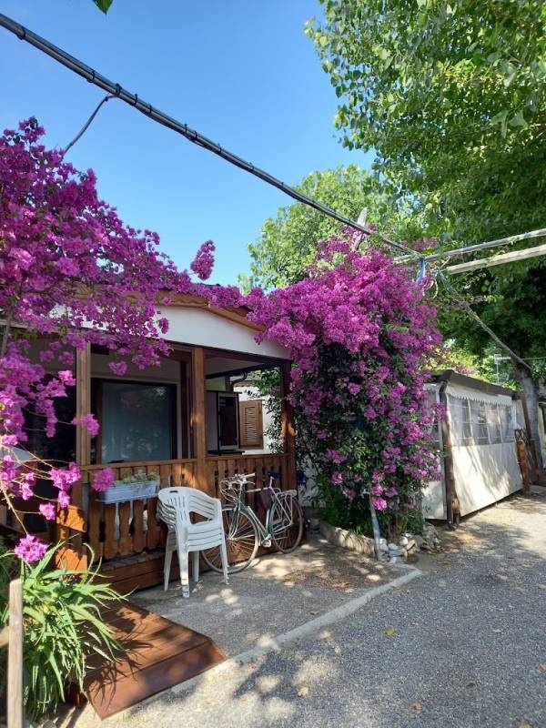 Parco Vacanze Lungomare — Kemping in Albenga