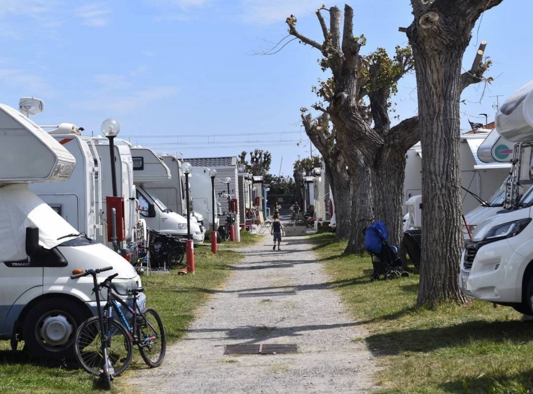 Camping Delphis — Camping in Ceriale