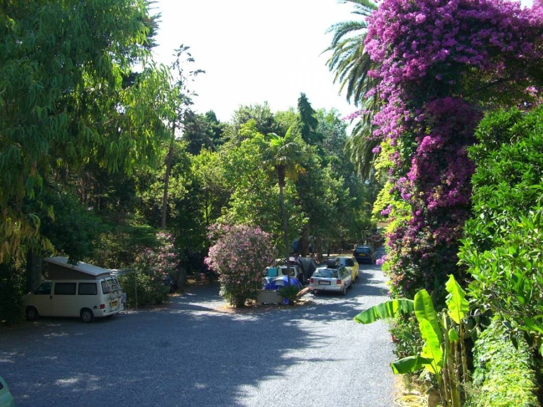 Campeggio Eucalyptus — Sítio de acampamento in Imperia