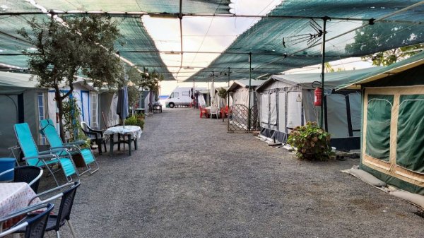 Camping La Pergola — Photo 3