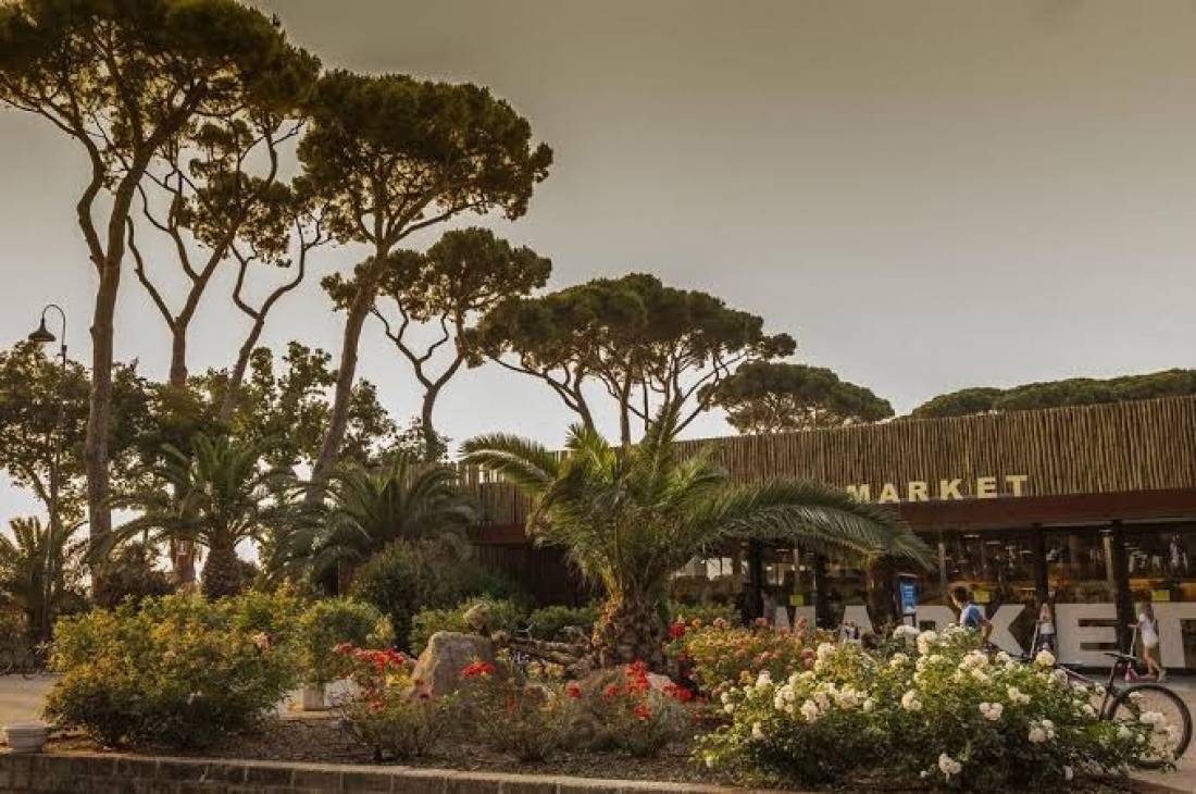 Park Albatros Village — Campingplass in San Vincenzo