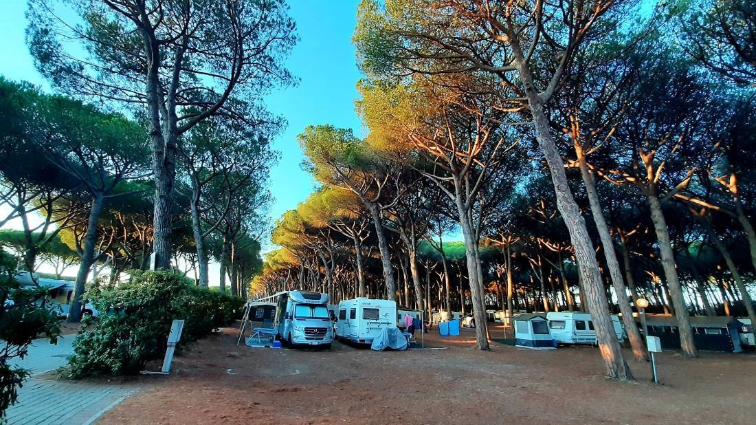 Camping Village Voltoncino — Campingplads in Albinia