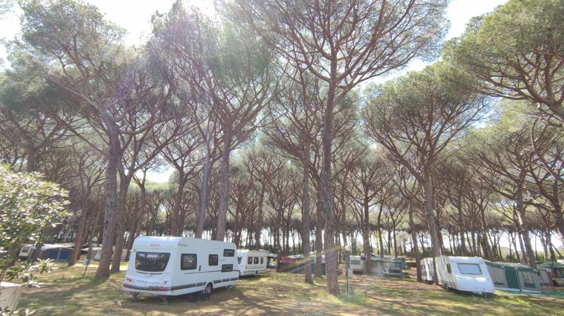 Camping Village Voltoncino — Campingplatz in Albinia