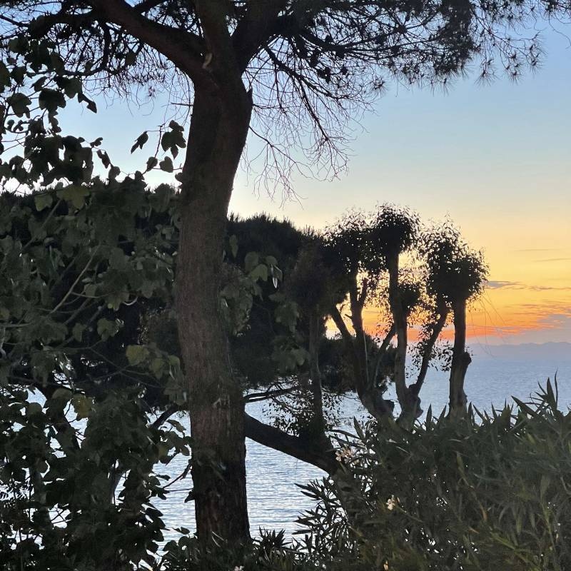 Camping Village Scaglieri — Kemping in Portoferraio
