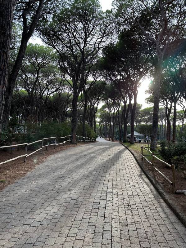 Camping Village Le Marze — Camping in Marina di Grosseto