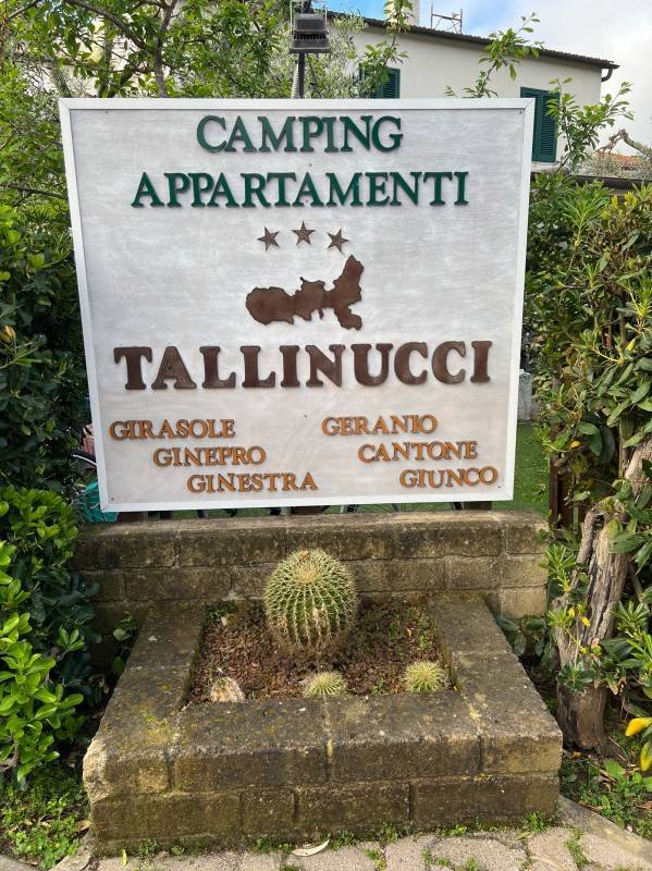 Camping Appartamenti Tallinucci — Photo 6