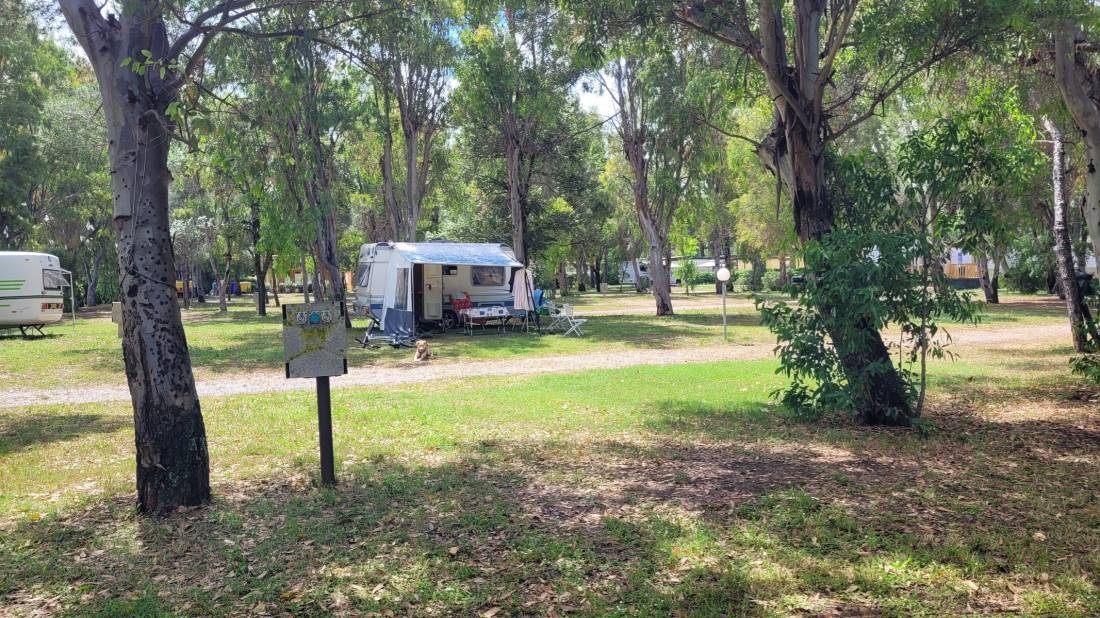 Camping Free Beach — Campingplatz in Marina di Bibbona