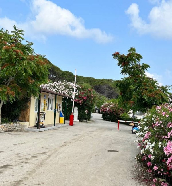 Acquaviva Village Camping — Photo 4