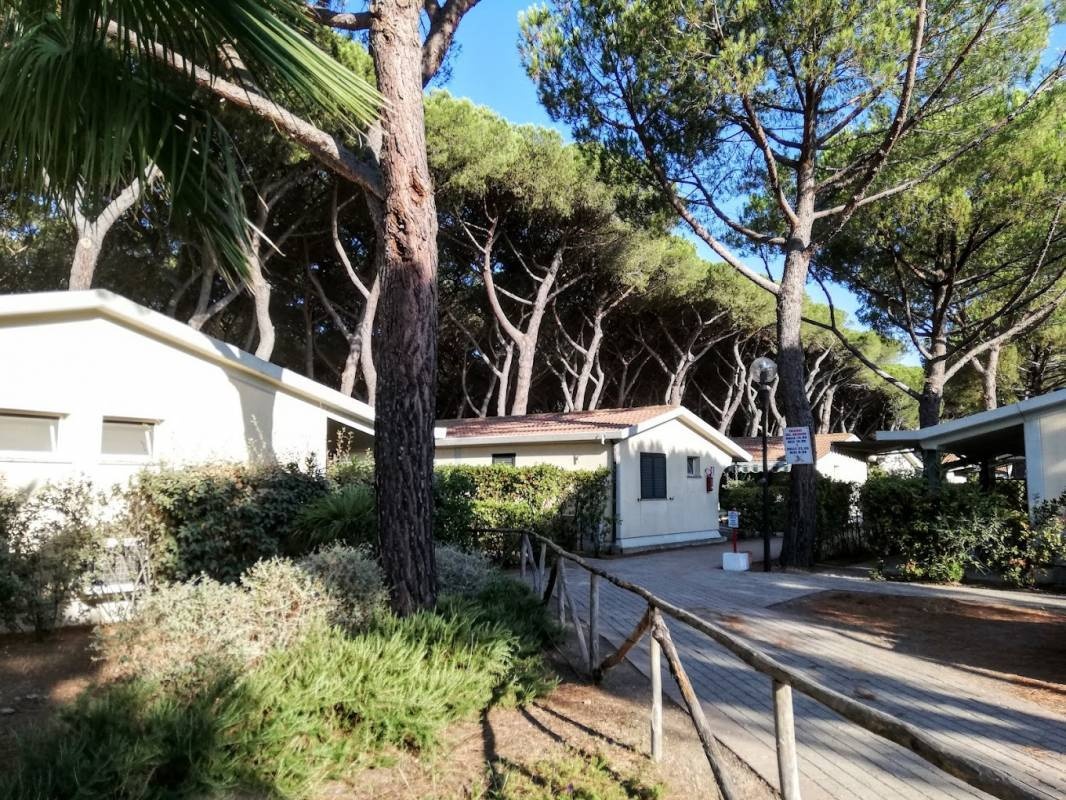 Camping Village Marina Chiara — Campingplatz in Albinia